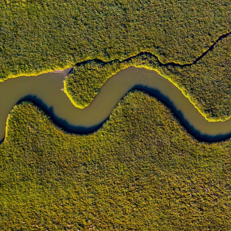 scarf-0017-ng-evros-delta-thrace-greece-1